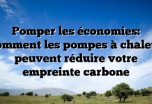 Pomper les économies: comment les pompes à chaleur peuvent réduire votre empreinte carbone Pomper les économies: comment les pompes à chaleur peuvent réduire votre empreinte carbone