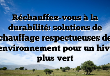 Réchauffez-vous à la durabilité: solutions de chauffage respectueuses de l’environnement pour un hiver plus vert Réchauffez-vous à la durabilité: solutions de chauffage respectueuses de l’environnement pour un hiver plus vert